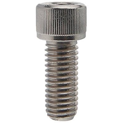 Boston Whaler Fuel Sender Bolt Kit - Stainless Steel